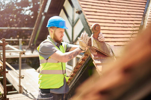 Roof Gutter Cleaning in Morris, AL