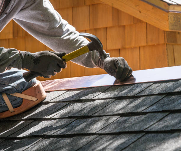 Best Roof Gutter Cleaning  in Morris, AL